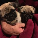 Michele Beard - @michele.beard - Instagram
