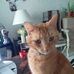 Michele Belval - Facebook