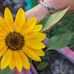 Michelle Benner - Facebook
