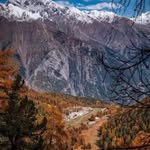 Michele Bertolini - @michelebertolini78 - Instagram