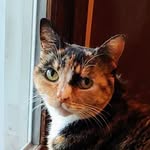 Michele Berube - @mjberube59 - Instagram