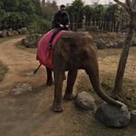 Michele M.Bing - @michele_m_bing - Instagram