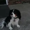 michelehelbing2 - @michelehelbing2 - TikTok