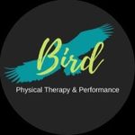 Michele Bird - @whatstheword_dr.bird - Instagram