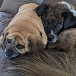 Michele Bird - @michelebird420 - Instagram