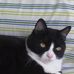 Michele Blackmon - Facebook