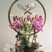 Michele Bolos - Facebook