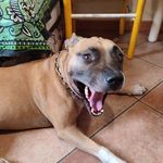 Michele Bonelli - @michele.bonelli - Instagram