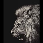 @Michele_Borrelli - @michele_borrelli1 - Instagram