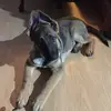 Michelle Bowes - @michelle.bowes8 - TikTok