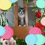 Michele Boyer - @boyer.michele13 - Instagram
