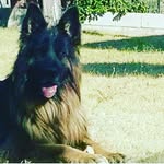 michele bracone - @braconemichele - Instagram