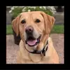 Michele Bradshaw Pickering - @michele.bradshaw3 - TikTok