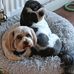 Michelle Bradshaw - Facebook