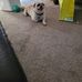 Michelle Broad - Facebook