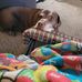 Shell Michelle Bronson Edwards - Facebook