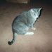 Michele Browne - Facebook