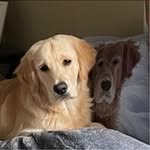 Michele Brownlee - @michelebrownlee45 - Instagram