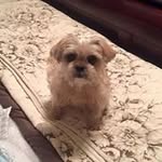 Michele Fuller Brownlee - @michelebrownlee1 - Instagram