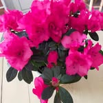 Michele Burdin - @micheleburdin - Instagram