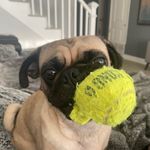 Michele Burdette - @micksiespicsies - Instagram
