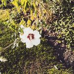 Michele Burdette - @michele.burdette.904 - Instagram