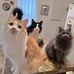 Michelle Burdette - Facebook