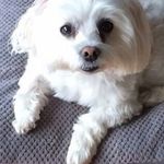 Michelle Burdette Gaughan - @gaughanmichelle - Instagram