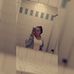 Michele Busse - Facebook