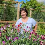Michelle Busse - @summerrainfarmstand - Instagram
