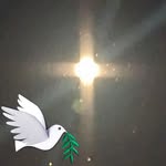 Michele Cacace - @michele.a.cacace - Instagram