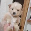 Michele Scaiola - @michele.scaiola4 - TikTok