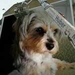 Michele Carbone - @michele5706 - Instagram