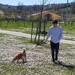 Michele Cardinali - @michele_cardinali - Instagram