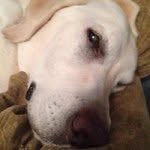 Michele Cardone - @mac2979 - Instagram
