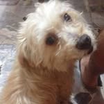 Michele Cardone - @michelecardone43 - Instagram