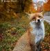 Michele Cary - Facebook