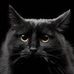 Michele Cary - Facebook