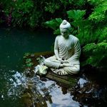 michele castle - @completelifestyleretreats_ - Instagram