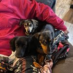 Michele Cavanaugh-Ruggiero - @mruggie - Instagram