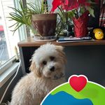 Michelle Cavanaugh - @cavanmic - Instagram