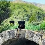 Michèle Ceas - @ceasmichele - Instagram