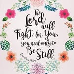 Michele Chandler - @mchandler1958 - Instagram