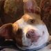 Michele Chandler - Facebook