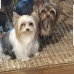 Michelle Chandler - Facebook