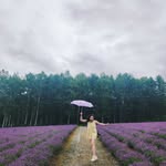 Michelle Cheney - @mishwidgy - Instagram