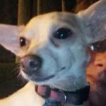 Michele Cobb - @1908cobb - Instagram