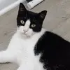 Michele Cobb - @michele.cobb7 - TikTok
