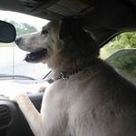 Michele Cobb - @michelecobb61 - Instagram