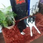 Michele Cobb - @shellsteve50 - Instagram